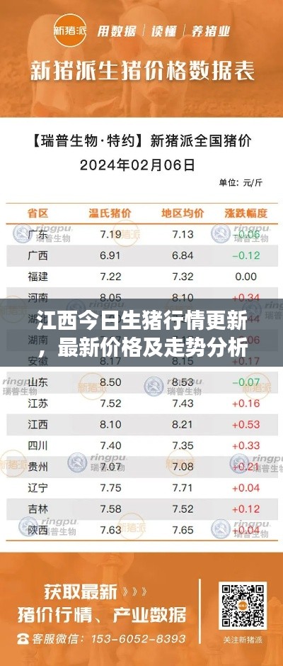 江西今日生豬行情更新,最新價格及走勢分析