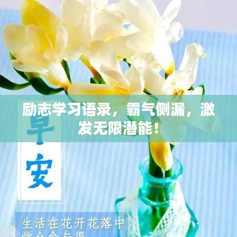 勵志學習語錄,霸氣側漏,激發無限潛能!