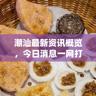 潮汕最新資訊概覽,今日消息一網打盡