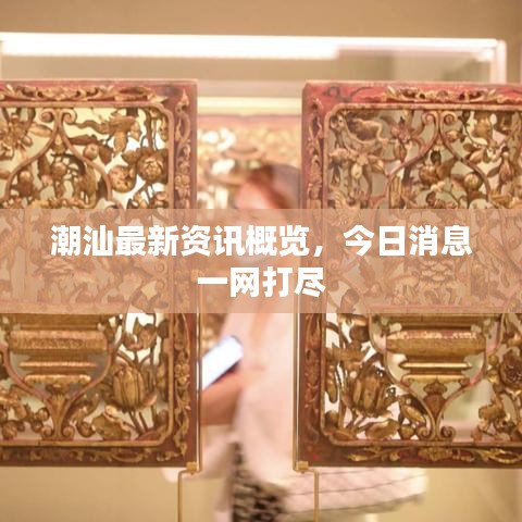 潮汕最新資訊概覽,今日消息一網打盡