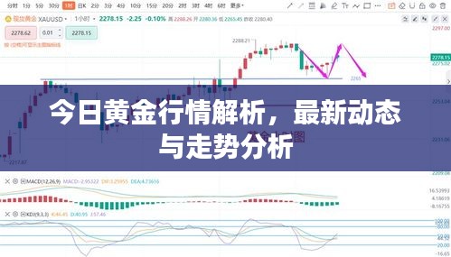 今日黃金行情解析,最新動態(tài)與走勢分析