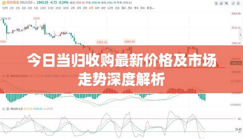 今日當(dāng)歸收購最新價(jià)格及市場走勢深度解析