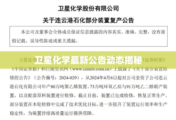 衛(wèi)星化學最新公告動態(tài)揭秘