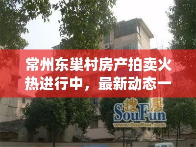 常州東巢村房產拍賣火熱進行中，最新動態一網打盡