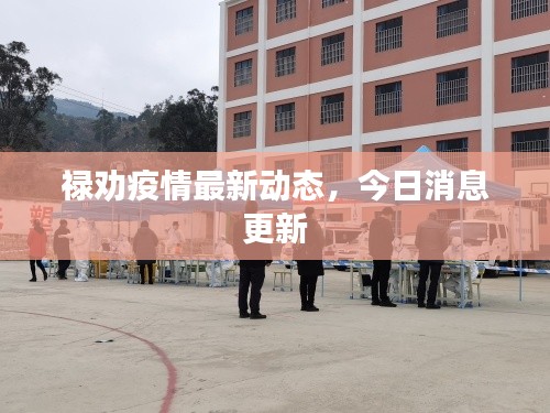 祿勸疫情最新動態,今日消息更新