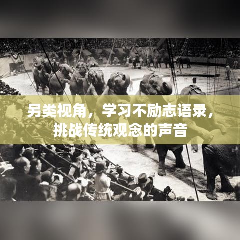 如翚斯飛 第3頁(yè)