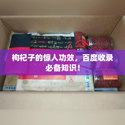 枸杞子的驚人功效，百度收錄必備知識！
