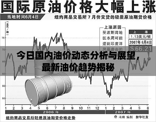今日國內油價動態(tài)分析與展望,最新油價趨勢揭秘