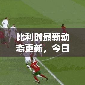 比利時最新動態更新,今日狀況揭秘!