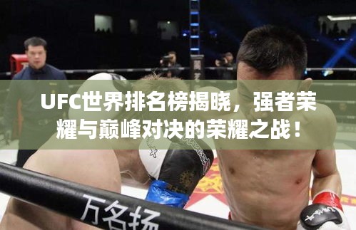 UFC世界排名榜揭曉,強(qiáng)者榮耀與巔峰對決的榮耀之戰(zhàn)!