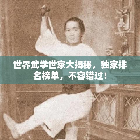 世界武學(xué)世家大揭秘,獨家排名榜單,不容錯過!
