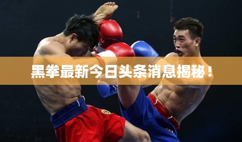 黑拳最新今日頭條消息揭秘!