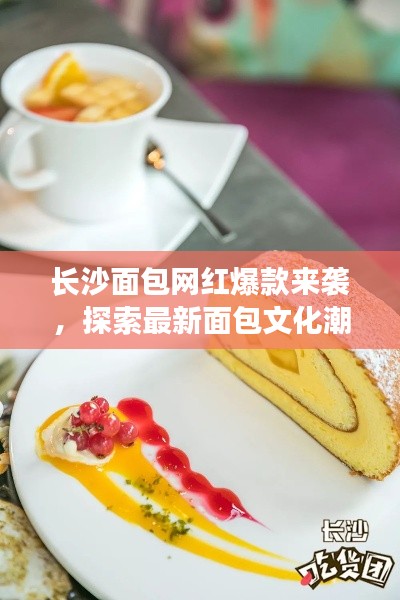 長沙面包網紅爆款來襲,探索最新面包文化潮流