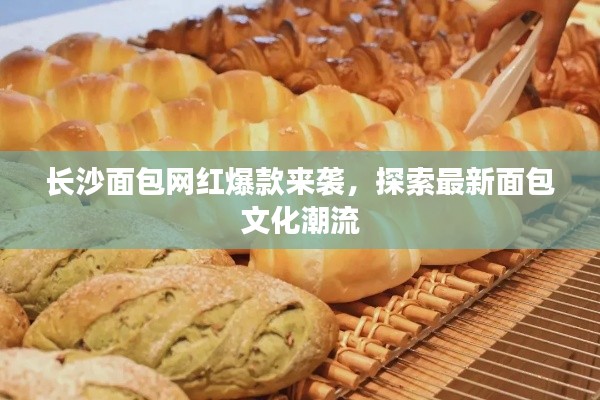 長沙面包網紅爆款來襲,探索最新面包文化潮流