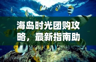 海島時光團購攻略,最新指南助你輕松享受海島度假!