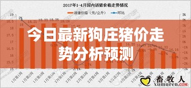 今日最新狗莊豬價走勢分析預測