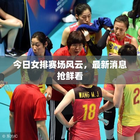 打張雞兒 第3頁