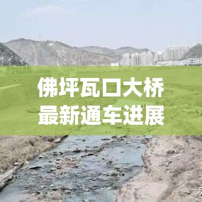 佛坪瓦口大橋最新通車進展，交通新里程碑誕生！