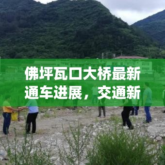 佛坪瓦口大橋最新通車進展,交通新里程碑誕生!