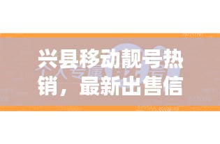 興縣移動靚號熱銷,最新出售信息一覽