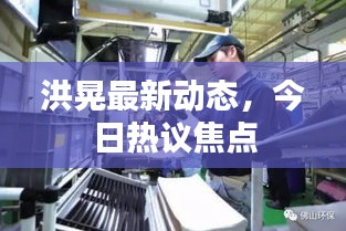 洪晃最新動態(tài),今日熱議焦點