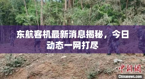 東航客機最新消息揭秘，今日動態一網打盡