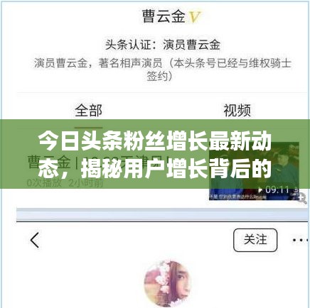 今日頭條粉絲增長最新動態，揭秘用戶增長背后的秘密！