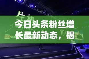 今日頭條粉絲增長最新動態,揭秘用戶增長背后的秘密!