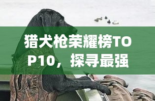 獵犬槍榮耀榜TOP10,探尋最強武器的震撼排名!