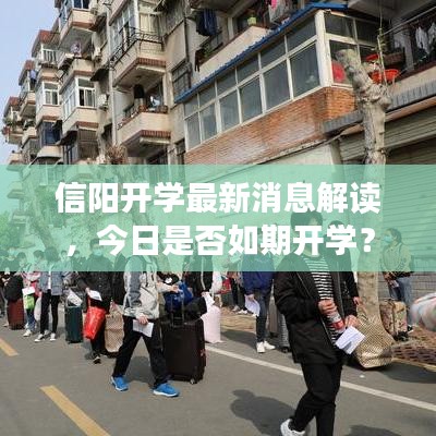 信陽開學最新消息解讀,今日是否如期開學?