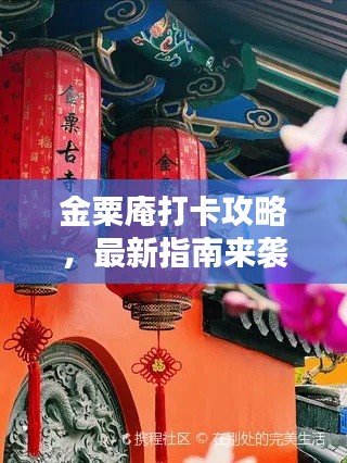 金粟庵打卡攻略，最新指南來襲！