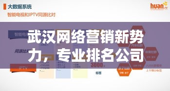 武漢網絡營銷新勢力,專業排名公司助力企業快速騰飛