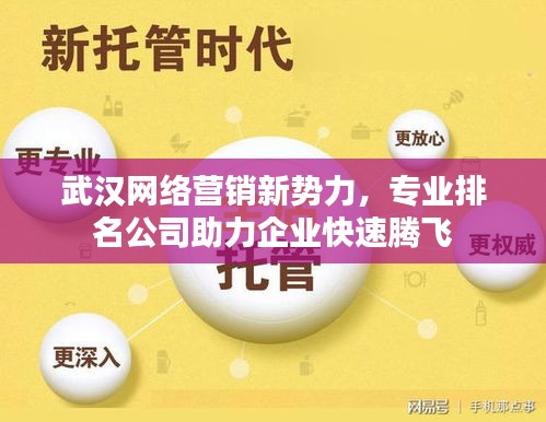 武漢網絡營銷新勢力,專業排名公司助力企業快速騰飛