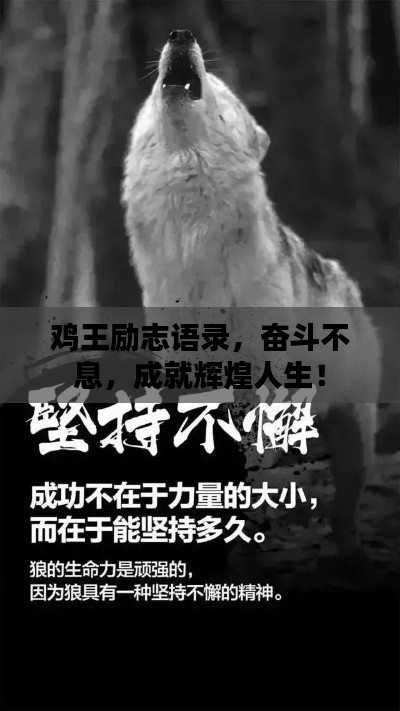 雞王勵志語錄,奮斗不息,成就輝煌人生!