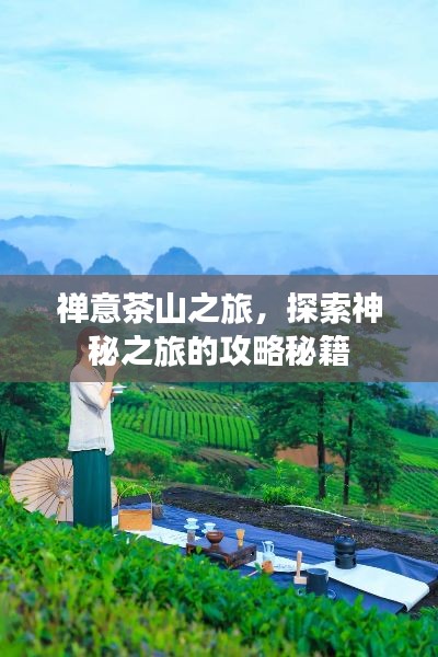 禪意茶山之旅,探索神秘之旅的攻略秘籍
