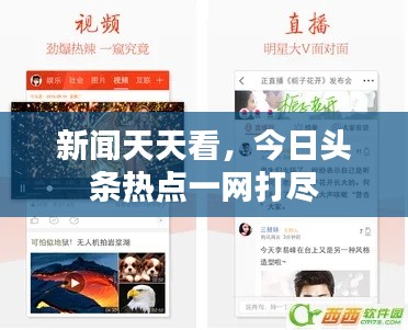 新聞天天看,今日頭條熱點一網打盡