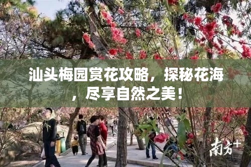 汕頭梅園賞花攻略,探秘花海,盡享自然之美!