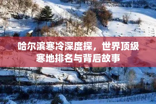哈爾濱寒冷深度探，世界頂級寒地排名與背后故事