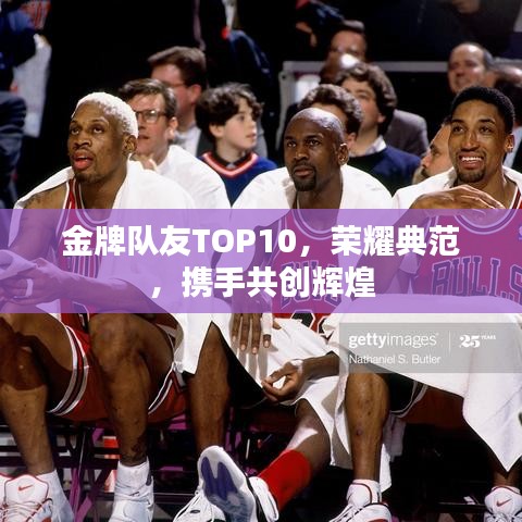 金牌隊(duì)友TOP10,榮耀典范,攜手共創(chuàng)輝煌