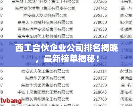 西工合伙企業公司排名揭曉,最新榜單揭秘!