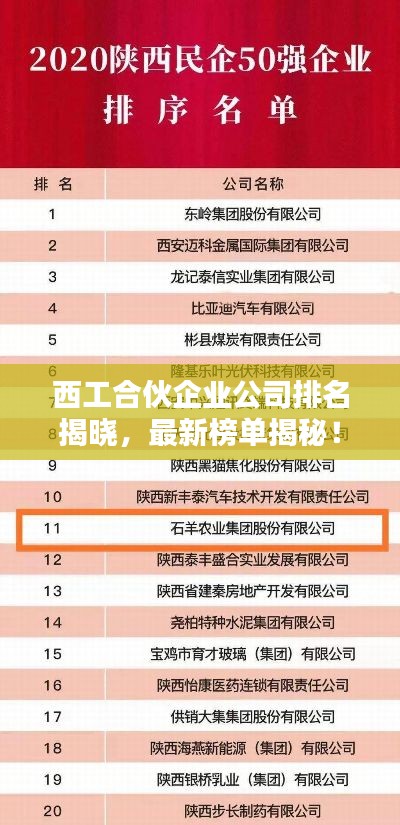 西工合伙企業公司排名揭曉,最新榜單揭秘!