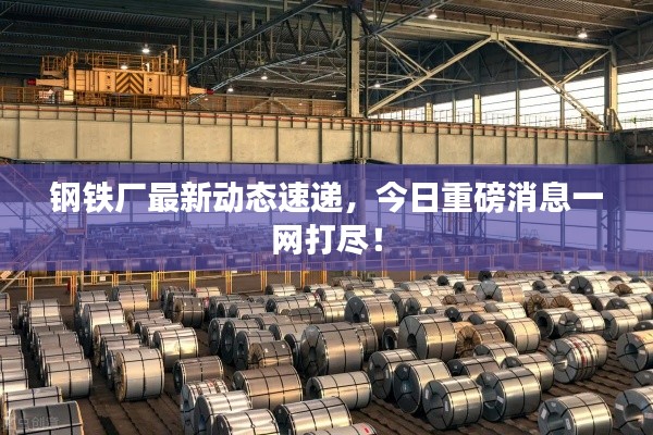 鋼鐵廠最新動態速遞,今日重磅消息一網打盡!