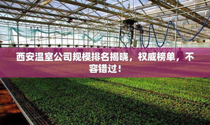 不恥下問 第2頁