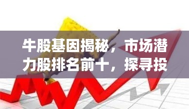 牛股基因揭秘,市場潛力股排名前十,探尋投資機會的新視角