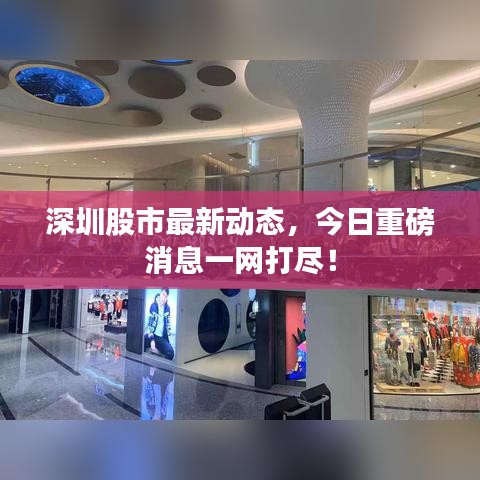 深圳股市最新動(dòng)態(tài),今日重磅消息一網(wǎng)打盡!