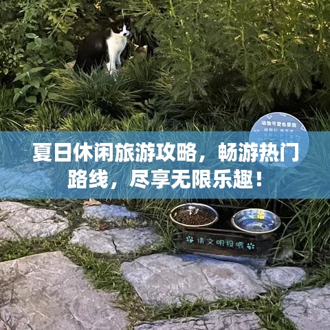 夏日休閑旅游攻略,暢游熱門路線,盡享無限樂趣!