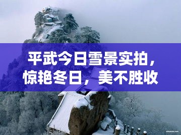 平武今日雪景實拍，驚艷冬日，美不勝收！