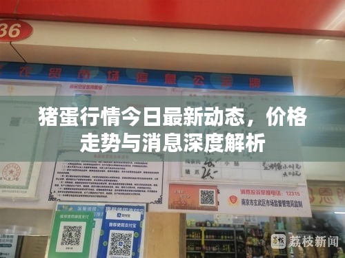 豬蛋行情今日最新動態，價格走勢與消息深度解析