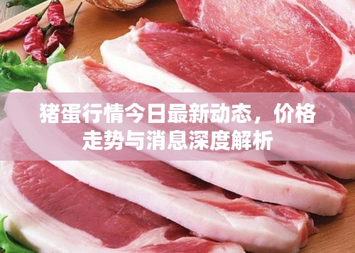豬蛋行情今日最新動態(tài),價格走勢與消息深度解析