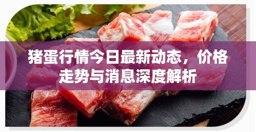 豬蛋行情今日最新動態(tài),價格走勢與消息深度解析